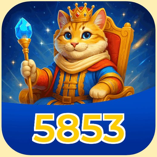 Termos e Condições Transparentes 5853